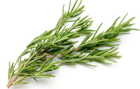 روغن رزماری