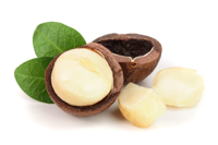 روغن ماکادمیا