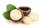 روغن ماکادمیا